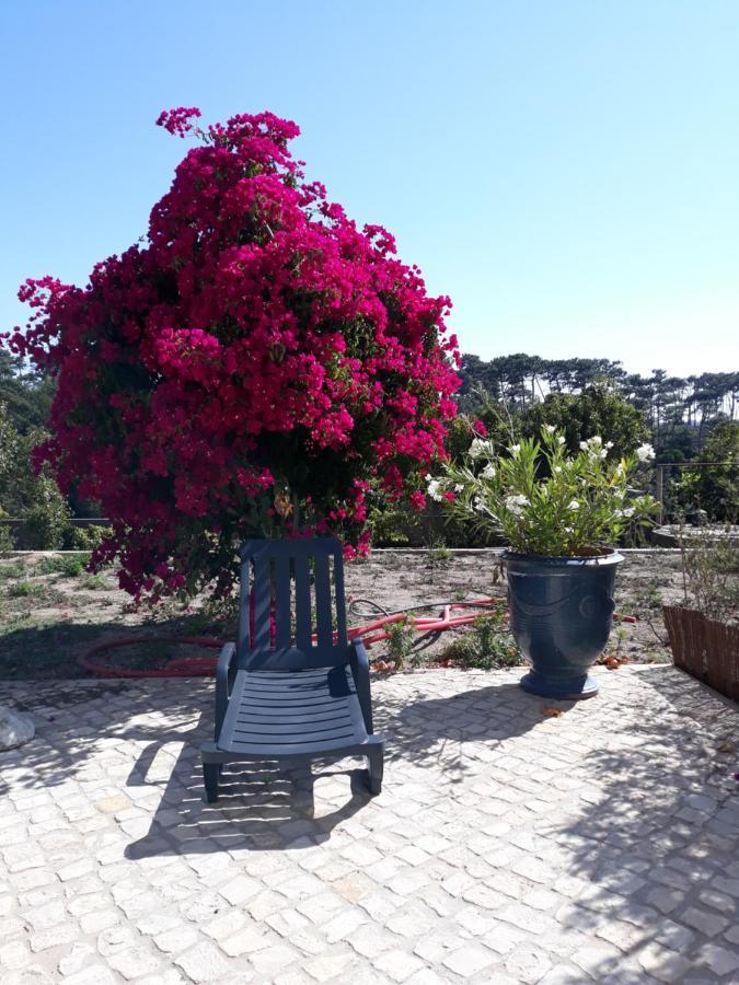 Plage Et Foret Pobral Exterior foto